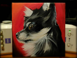 chihuahua oil portrait