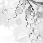 White by jeminafredriika