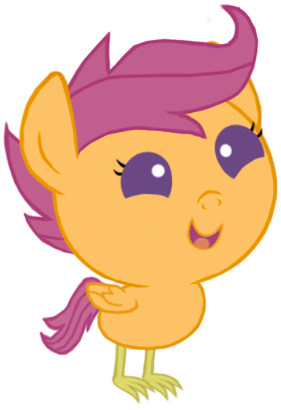 Scootachick