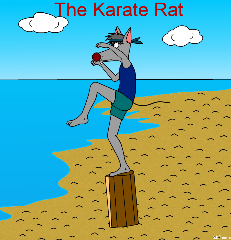 Karate Kick Racoon The Karate Rat by BKToons on DeviantArt