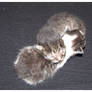 Newborn Kitten 3