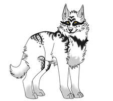 Free Wolf Adoptable