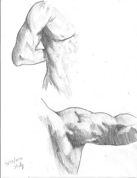 Arm, Torso Study