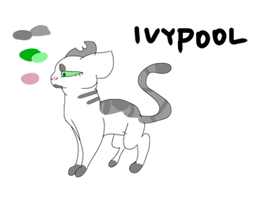 Ivypool Original Explore the Best Ivypool Art | DeviantArt