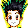 Gon (Hunter x Hunter).jpg