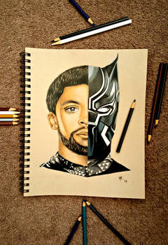 T'Challa (Black Panther)