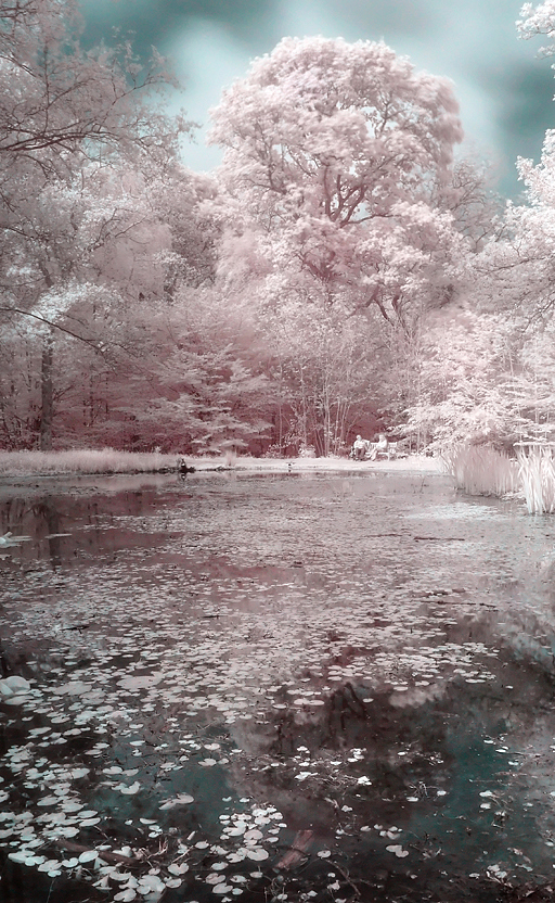 The Couples Pond