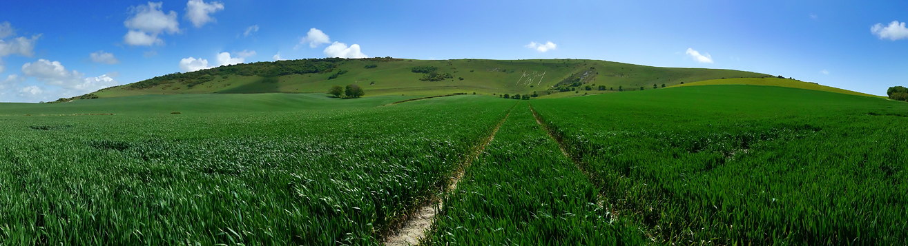 The Long Man