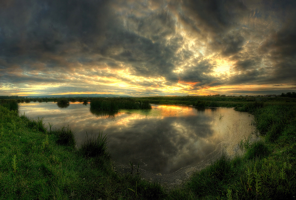 Langley Reflections