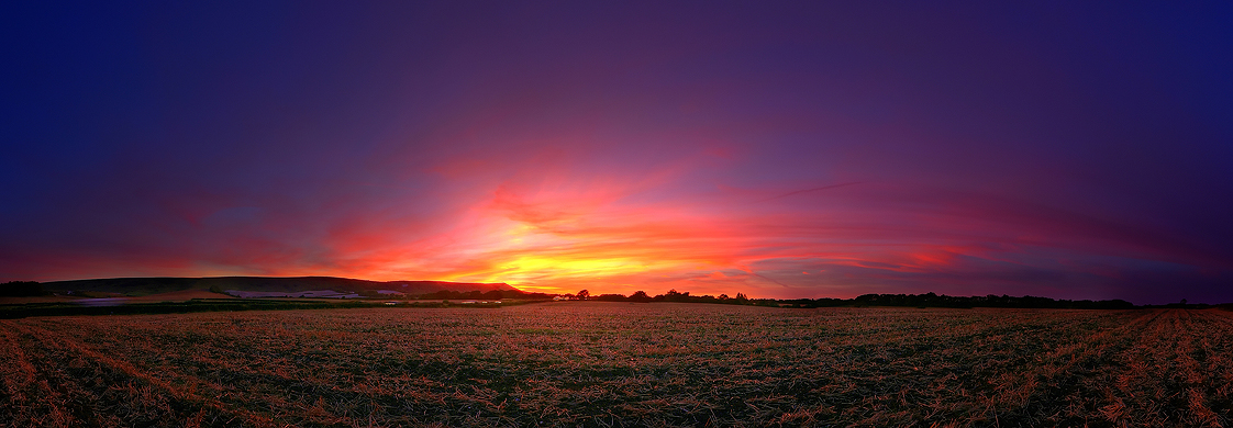 Field of Dreams