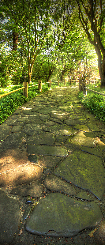 Stepping Stones