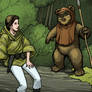 Leia Wicket Color