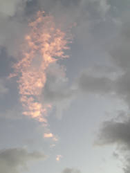 Clouds | Pink Sunset Cloud