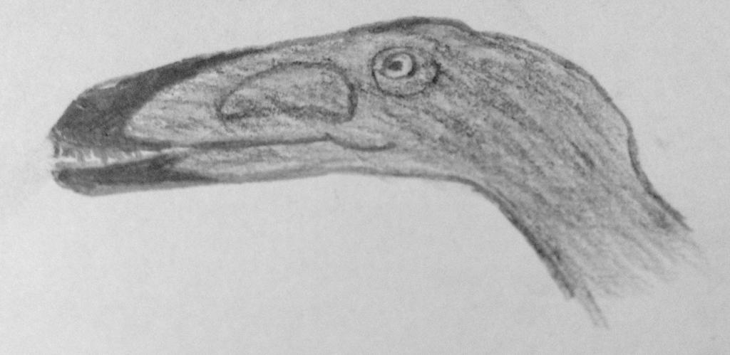 Utah Rapter Head Utahraptor ostrommaysorum (head concept) by Mon-Elf on DeviantArt
