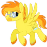 ~What a Roller Coaster!~