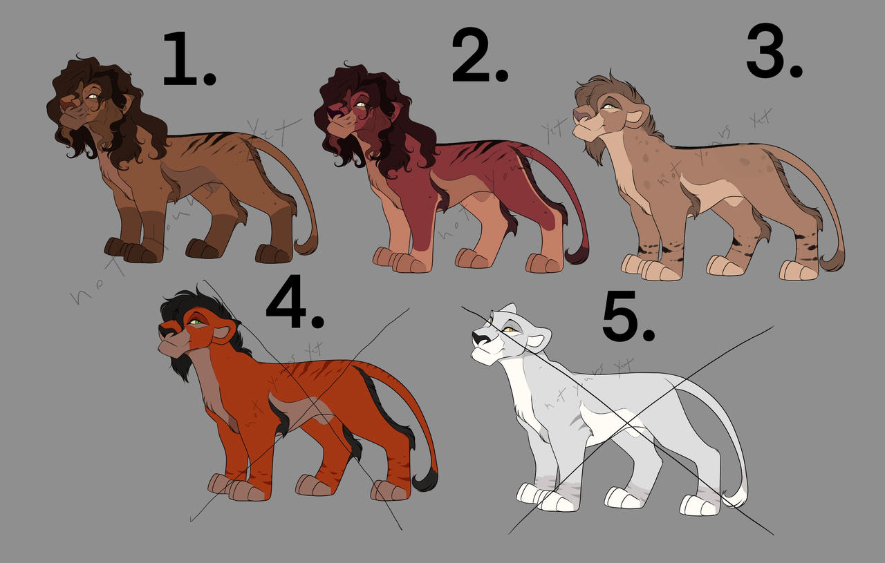 TLK lion adopts batch 1 (Open)