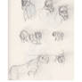 Smilodon Sketch Dump
