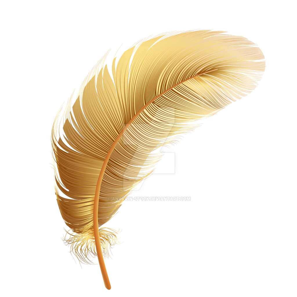 Golden Feather (5) by anavrin-stock on DeviantArt