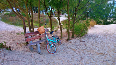 Beachlife Bike (3)