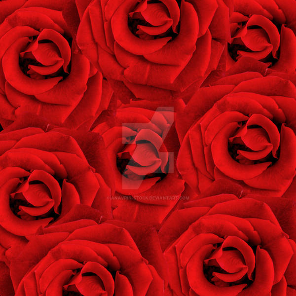 Red Roses Background by anavrin-stock on DeviantArt