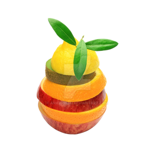 fruits slices isolated PNG transparent
