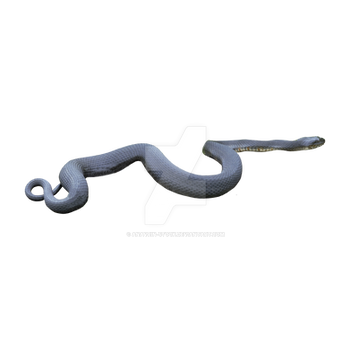 Snake Skeleton Rig 3D model snake skeleton rigged 2 by steplont on DeviantArt