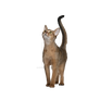 Cat Kitten Isolated On Transparent Background (25)