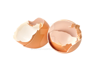 eggshell empty PNG isolated