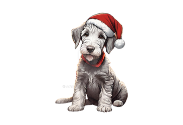 Bedlington Terrier Puppy dog christmas PNG (3)