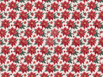 Red Poinsettia, Christmas flowers with leaves seam