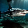 A magnificent tiger shark under the sea. AI genera