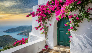 White Walls, Bougainvellia Flowers (2)