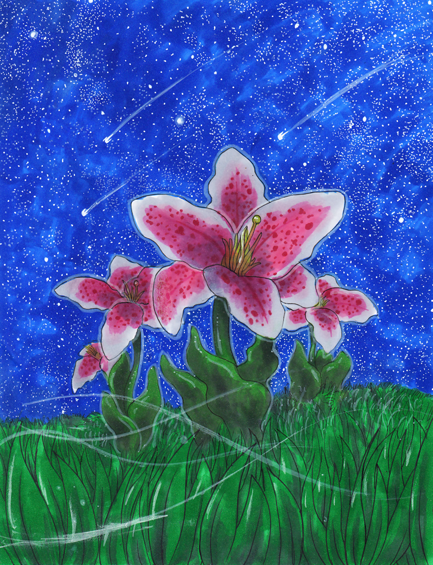 Stargazing Lillies