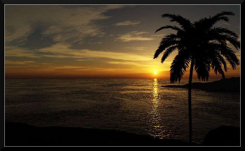 Palm Beach Sunset