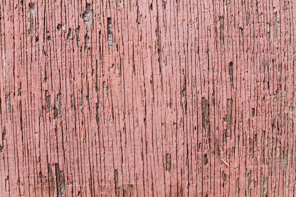 decrepit wood painted