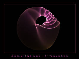 Nautilus Lightscape