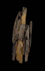 Wood 1