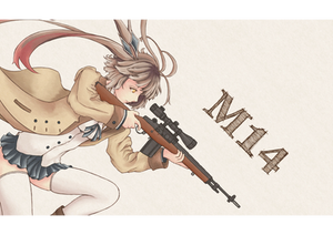 [Girls Frontline] M14