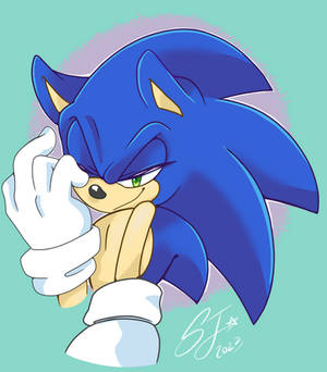 Sonic redraw 