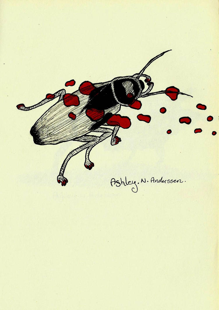 cockroach by AceroDragon on DeviantArt