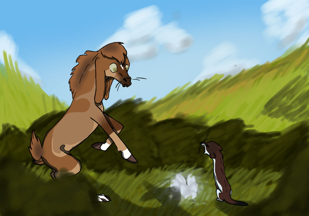 Stoat Dragging Rabbit Stoats and Rabbits by silencethewolf on DeviantArt