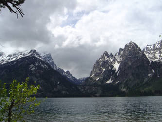 Jenny Lake