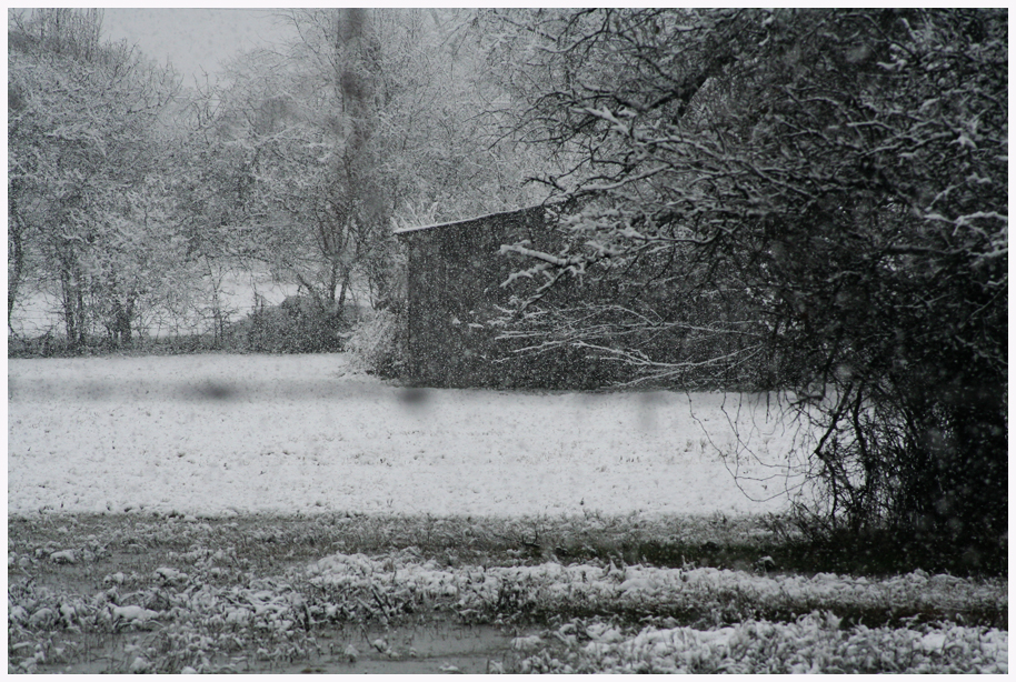 snow shed