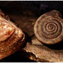 snail and slate