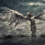 Angels Warning