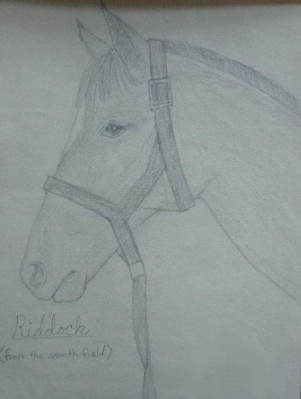 Riddock by StarFreedom on DeviantArt