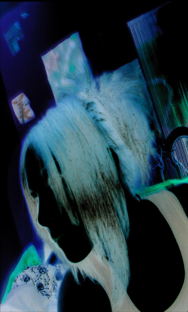Invert. me. by misunderstood-pyro16 on DeviantArt