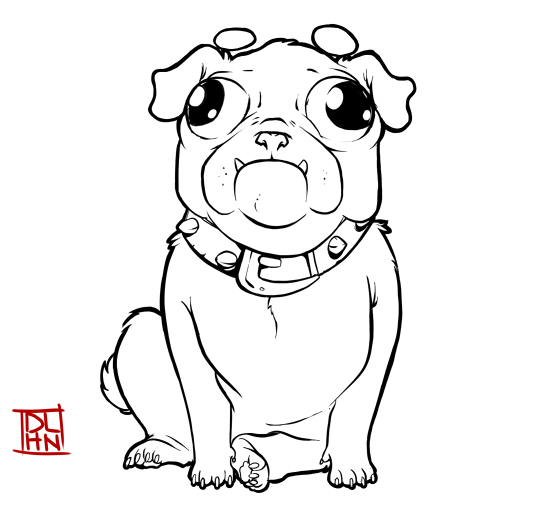 Pug