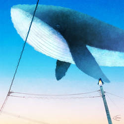 Came to see the whales