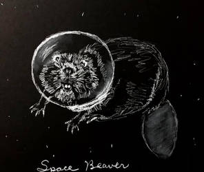 Space Beaver
